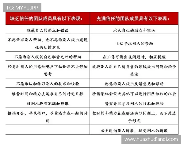 以Meiko辅助为核心解析其在团队协作与战略布局中的关键作用