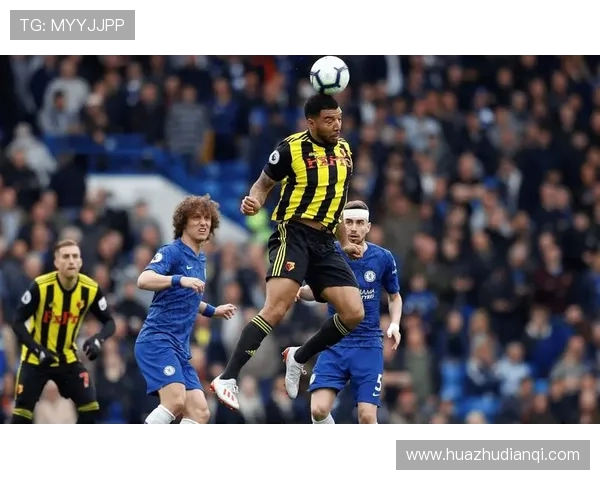 全球顶级体育赛事盛典精彩纷呈 足球篮球网球跑步项目激烈角逐点燃激情