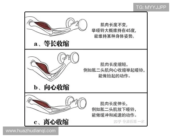 上海羽毛球队耐力表现分析及其对比赛成绩的影响研究